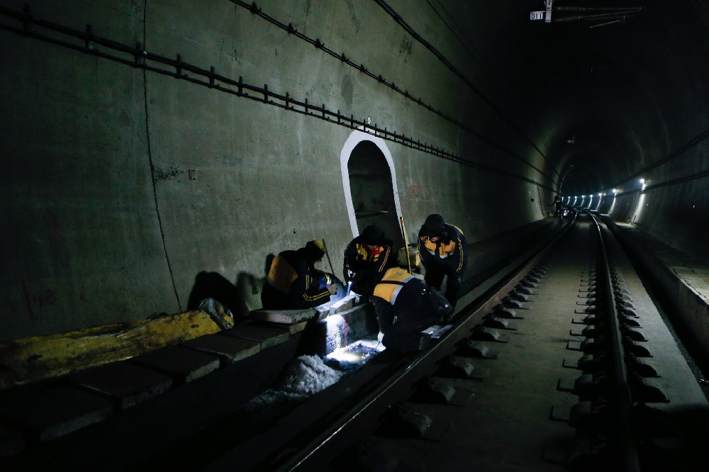 琼山铁路运营隧道病害现状